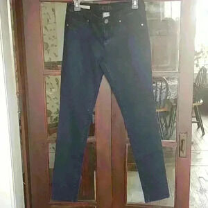 Decree Jeggings Metallic Blue